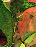 S063CDE-wonderwall-moodboard-002-rgb-4
